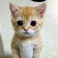 cụk cứk chóa😍🥰