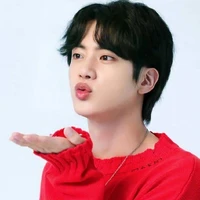 Kim SeokJin-SJ