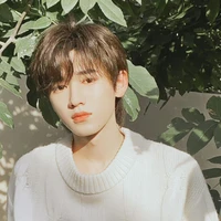 Tống Á Hiên(cậu)