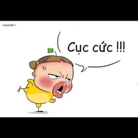 tác giả đang đá cức
