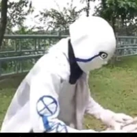 alpha