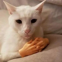 Asley và Sinji