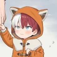 Todoroki Shoto
