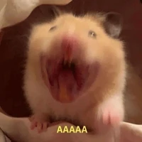 t/g thiếu kinh phí