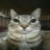 ？