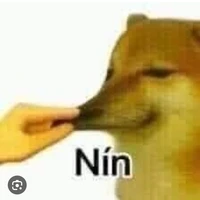 lớp 9a1 báo