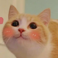 All trừ những người cần trừ