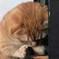 Nvật bí ẩn