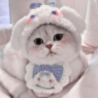 Tác giả siu cutii💗