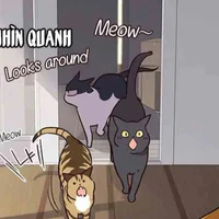 Đám mèo
