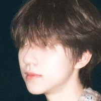 Hạ Tuấn Lâm