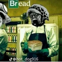 law