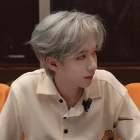 Hạ Tuấn Lâm