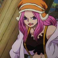 Bonney 17t