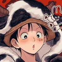 Monkey D Luffy 17t