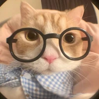 tác giả cutii đayyy