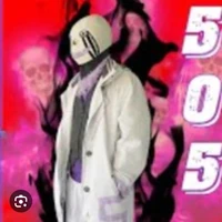 error sans 505