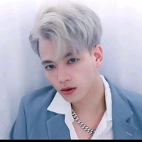 Mr vịt