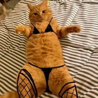 tí