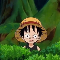 Luffy (7 tuổi)