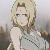 Hokage đệ ngũ