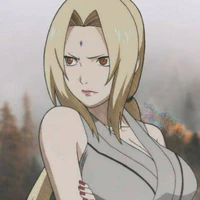 Hokage đệ ngũ