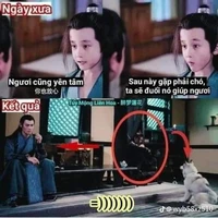nhân vật phụ