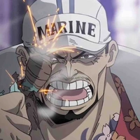 Sakazuki Akainu