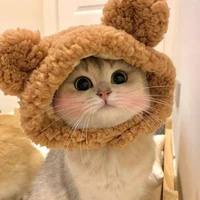 t/g: ny của su bot
