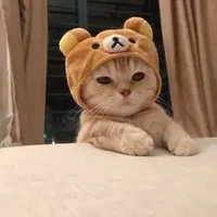 tác giả siêu llười٭ʕ♡˙ᴥ˙♡ʔ