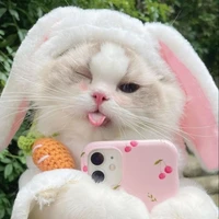 [Trà Cam Dâu]Tác giả