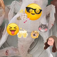 vịt bj bọn vi khuẩn kí