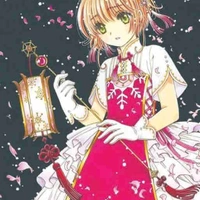 K. Sakura