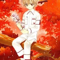 L. Syaoran