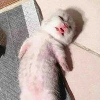 bngaan _ tgia cutii🤩