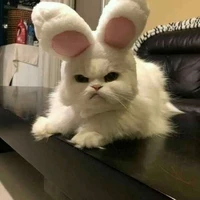 Tác giả đêyyy