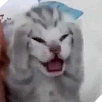 Hàng xóm may mắn
