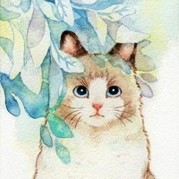 Mã số 1314 - Aimi