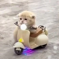 Tác giả