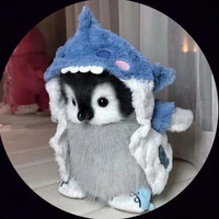 cậu và các anh