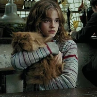 Hermione granger