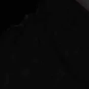 ¿¿¿