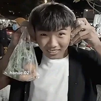 phạm đình hoà