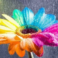 Nhân vật phụ- quản gia 