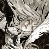 Arynie | T/g