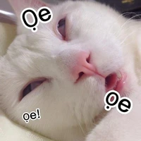 con tác giả lười biếng