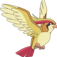 Pigeot( Cyclone)