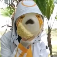 pé 7