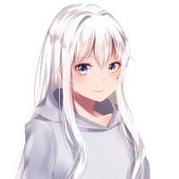 Y/n