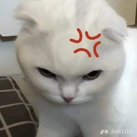 tg cutii :vv